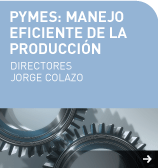 Manejo Eficiente de la Producción para PYMES
