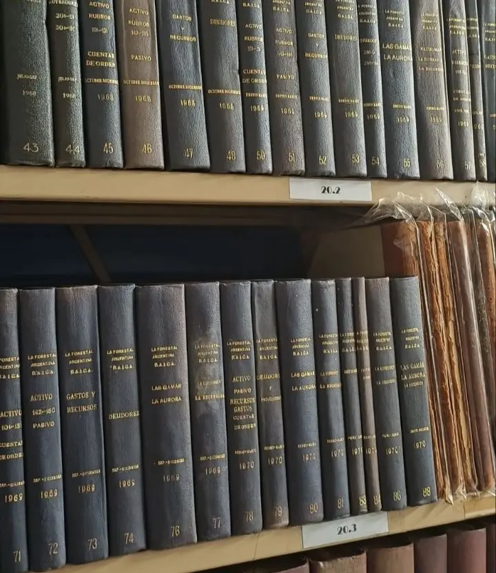 Colecciones Hechas por el Archivo